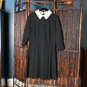 Woman’s Collard Dress